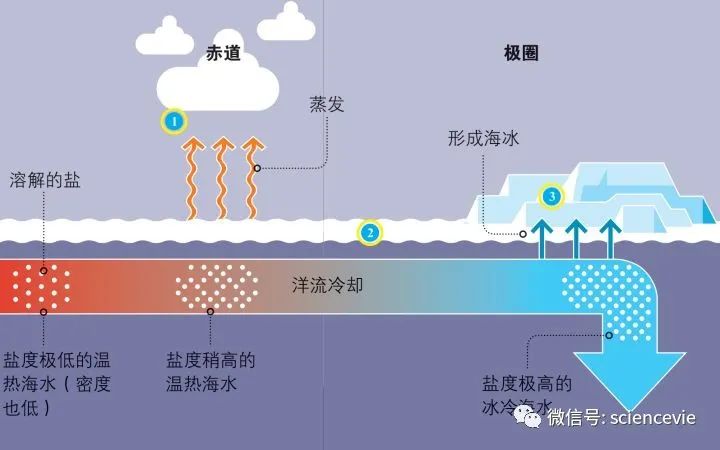 海水密度|假如海水不是咸的世界会变成怎样？