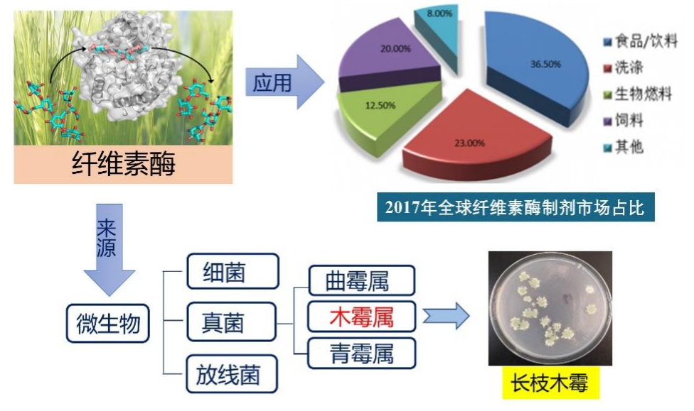 废纸|你随手丢弃的废纸，能让汽车跑起来