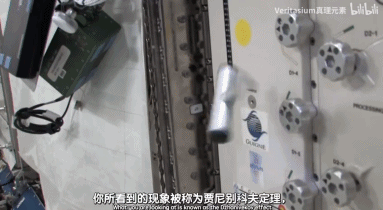 自由落体|掌握自由落体的秘密，是不是可以当赌神？| 正经玩