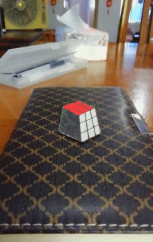 自由落体|掌握自由落体的秘密，是不是可以当赌神？| 正经玩