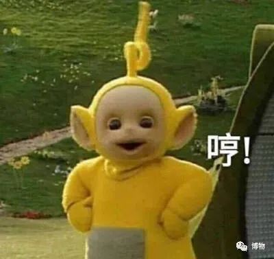 向日葵|你是个成熟的向日葵了，不能跟着太阳转头