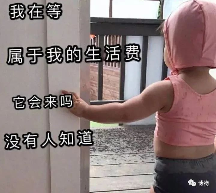 向日葵|你是个成熟的向日葵了，不能跟着太阳转头