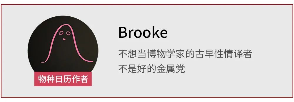 袋狼|最后一只袋狼，在动物园里孤独死去