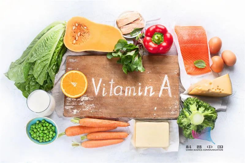 中国食物成分表|牛羊＂杂碎＂到底脏不脏？