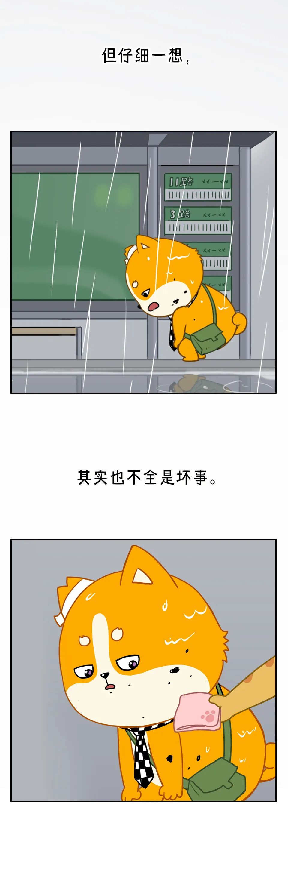 在最倒霉的一天,却遇到了最幸运的事情!