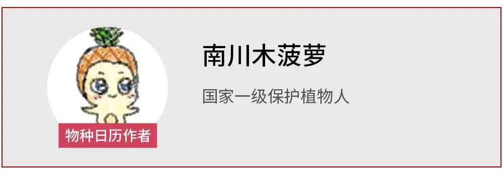 折衷鹦鹉|“很抱歉，我有好几个情人。” “巧了，我也是！”