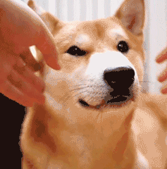 每日一笑我疯起来连自己都打