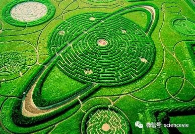 玉米地|为了赚更多钱，美国农民把玉米地变成了迷宫