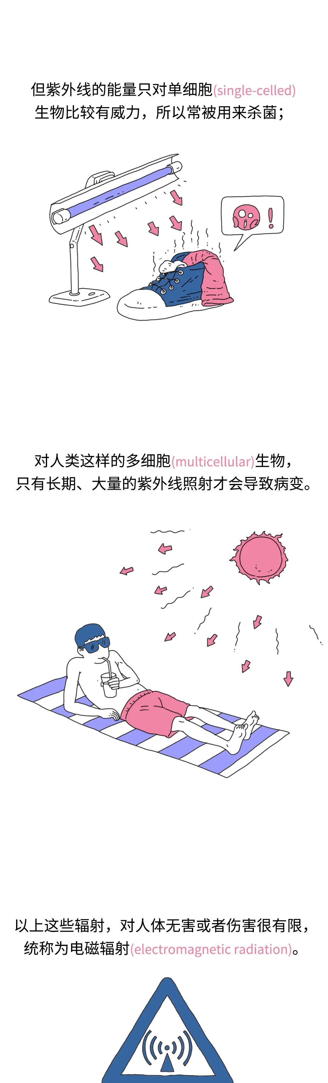 |香蕉有辐射？要吃多少根香蕉才能达到辐射致死量？