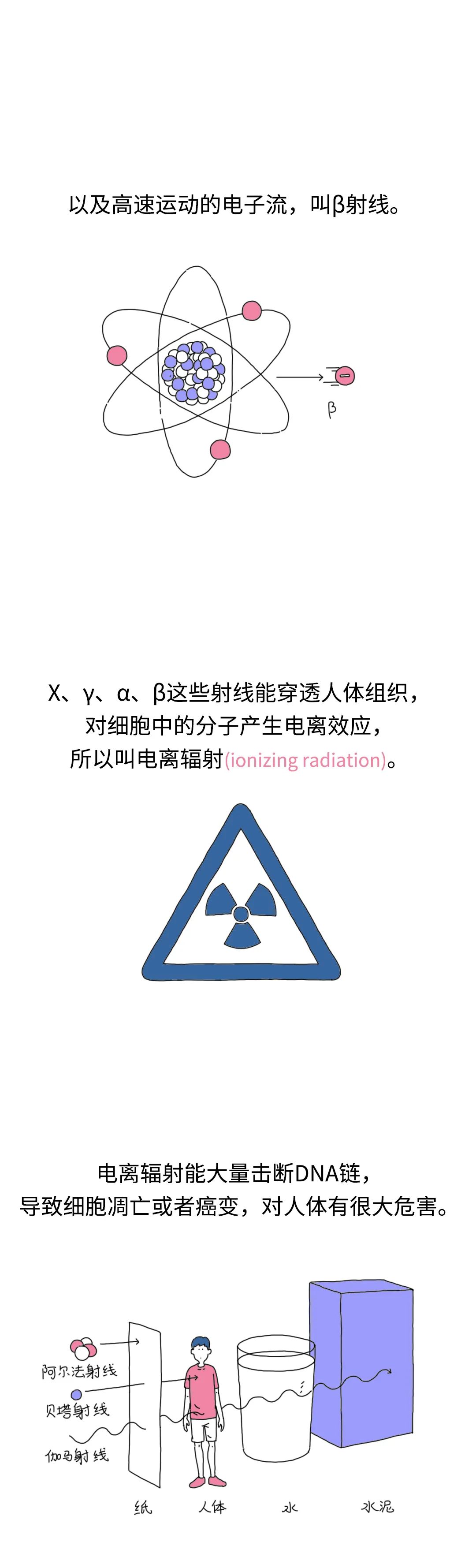 |香蕉有辐射？要吃多少根香蕉才能达到辐射致死量？