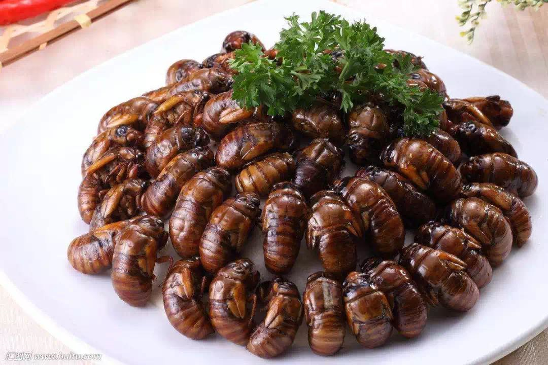 云南虫谷很下饭云南美食有多魔幻前三个就看破防了