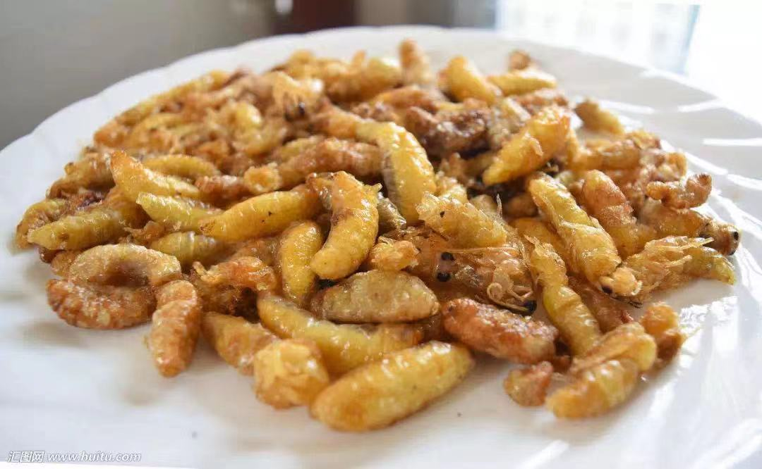 「炸蜂蛹」重口味级别:★★★所以炸龙虱一般人不敢吃但是由于蟑螂的