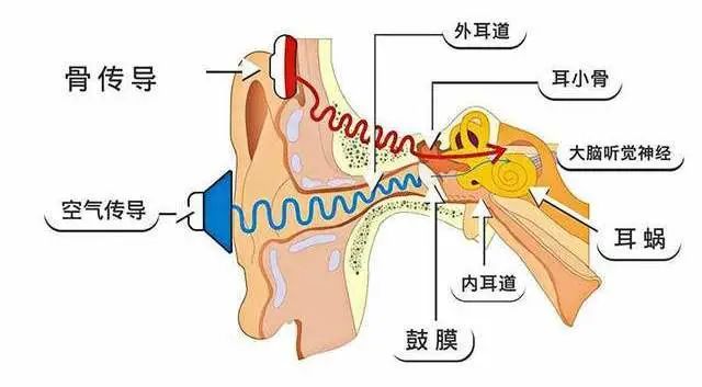 耳机|@耳机重度用户，下一个“小聋人”就是你