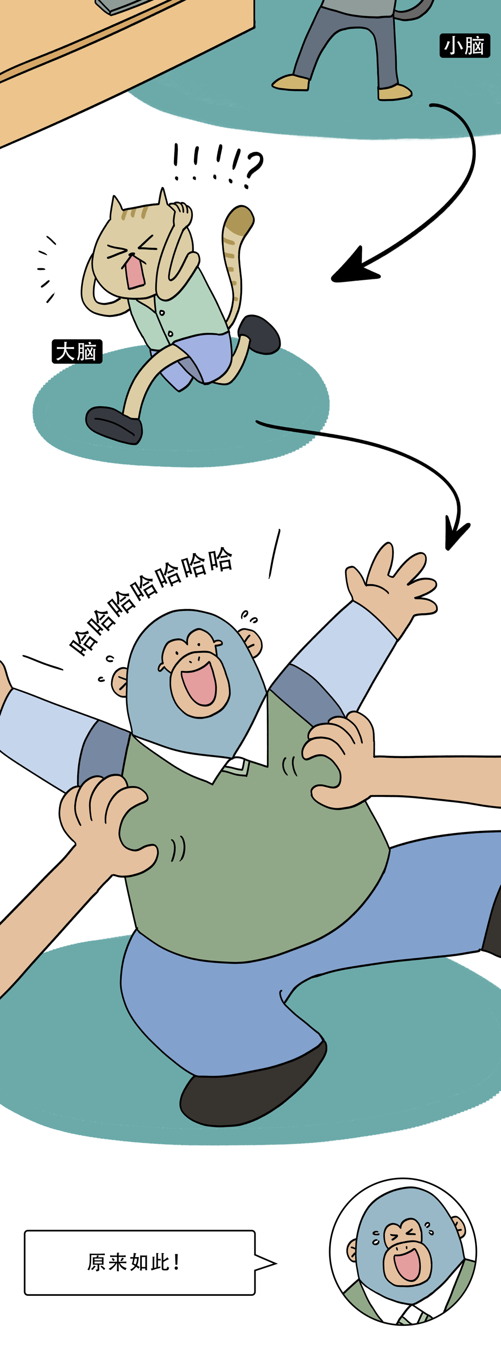 香蕉|为什么自己挠自己不痒，别人挠就痒？
