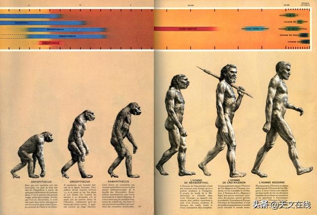 科普|10万年后的人类是什么样子？