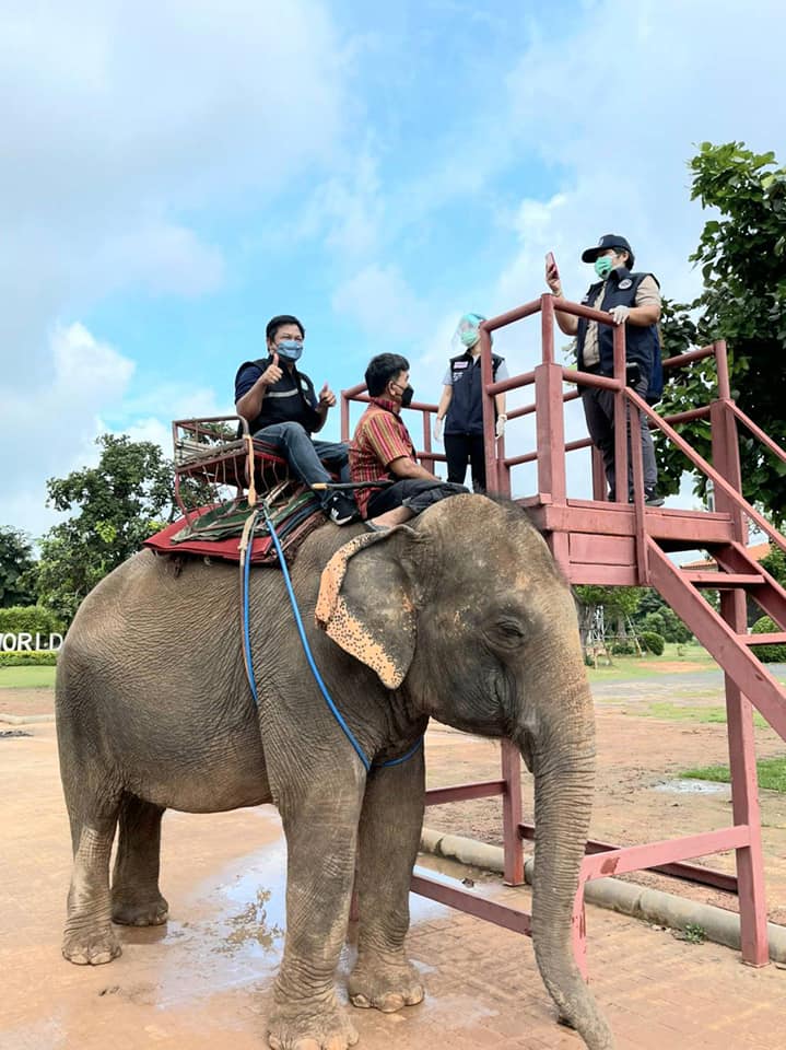 为减轻疫情压力泰国一地推出疫苗接种政策可骑在大象背上打疫苗