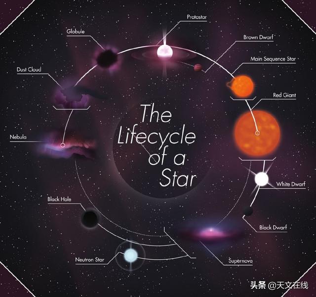 天文|与理论上可能最大的恒星相比较，宇宙中已观测到最大恒星有多大？