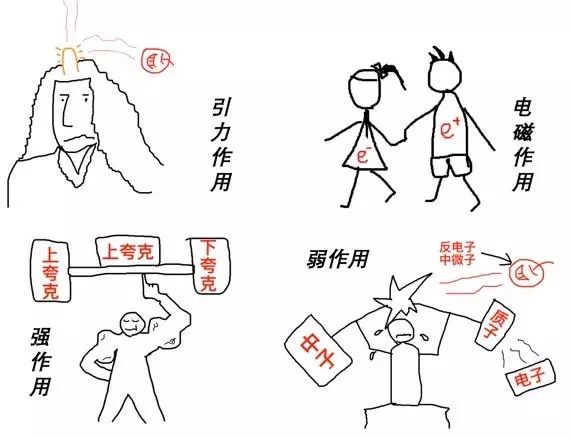 物理|宇称为什么不守恒？
