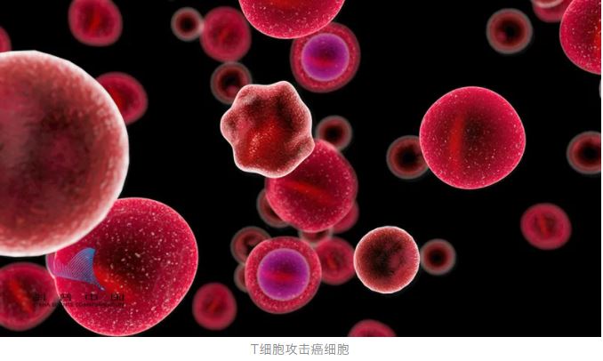 癌细胞|＂120万元一针的药或让癌细胞清零＂究竟是真是假？今天都给你说明白