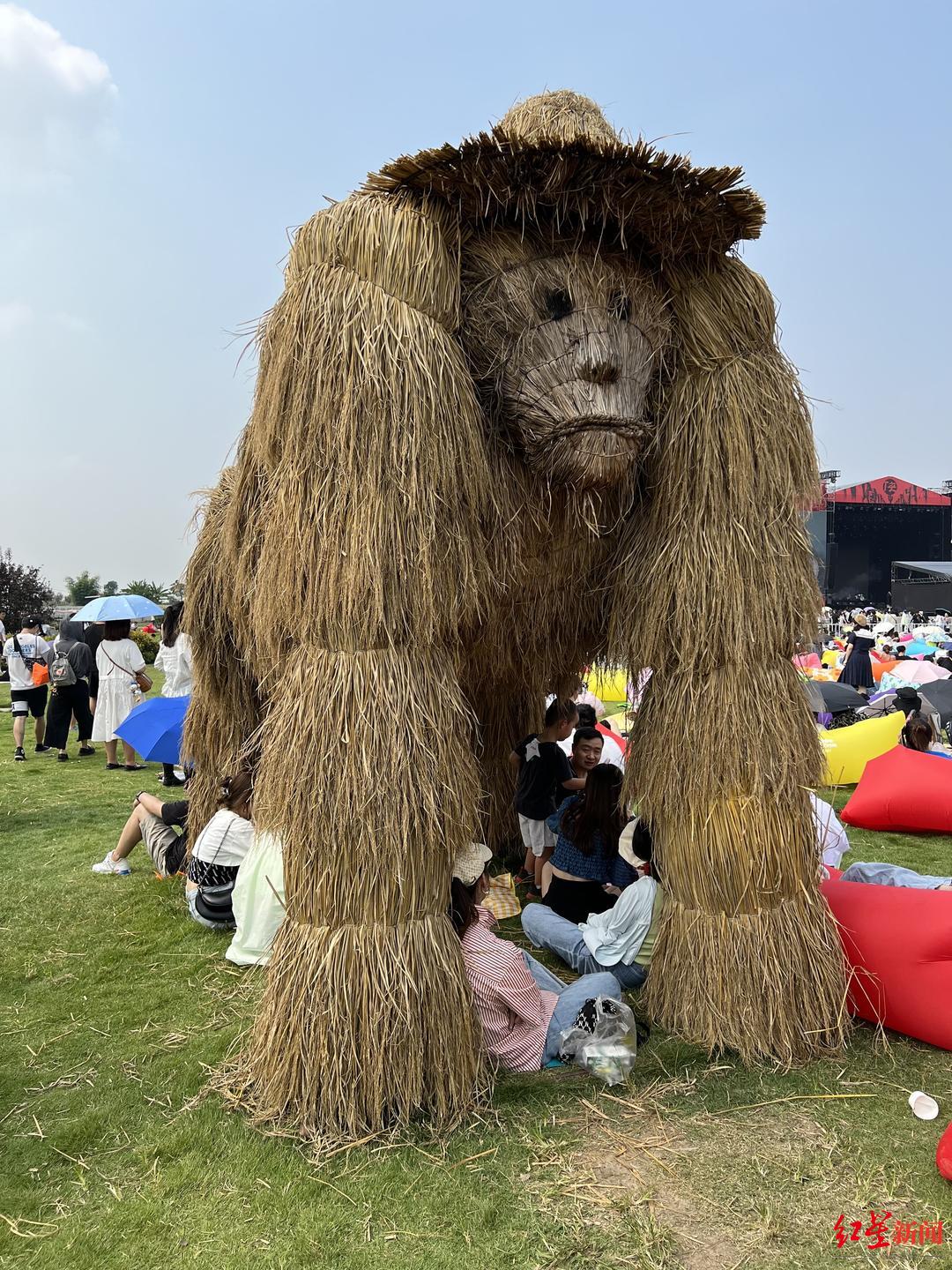 燃仙人掌音乐节来啦今天继续从早嗨到晚