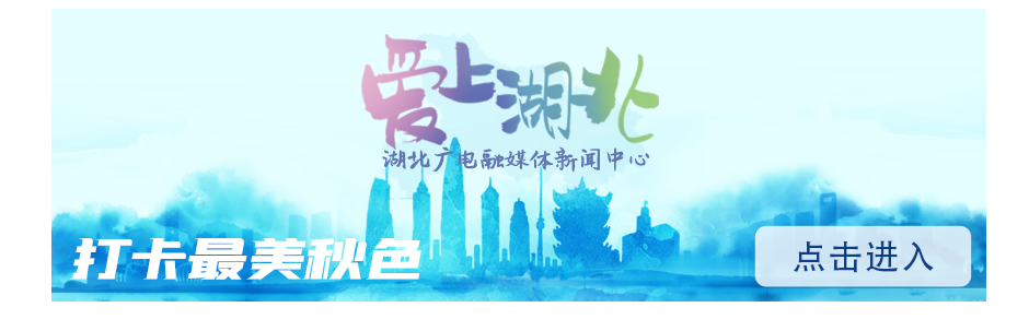 科技|【关注】又一手机巨头落子武汉！