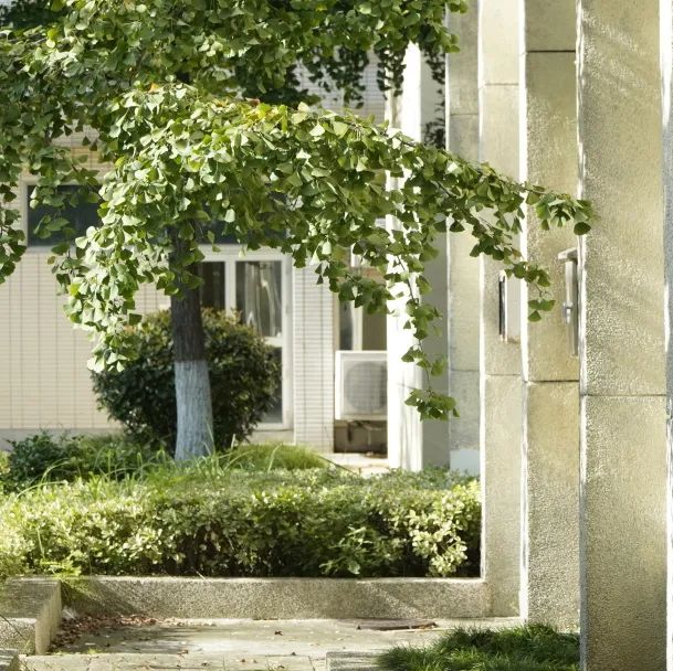 nature|3篇！《Nature》主刊在线发表东南大学团队科研成果