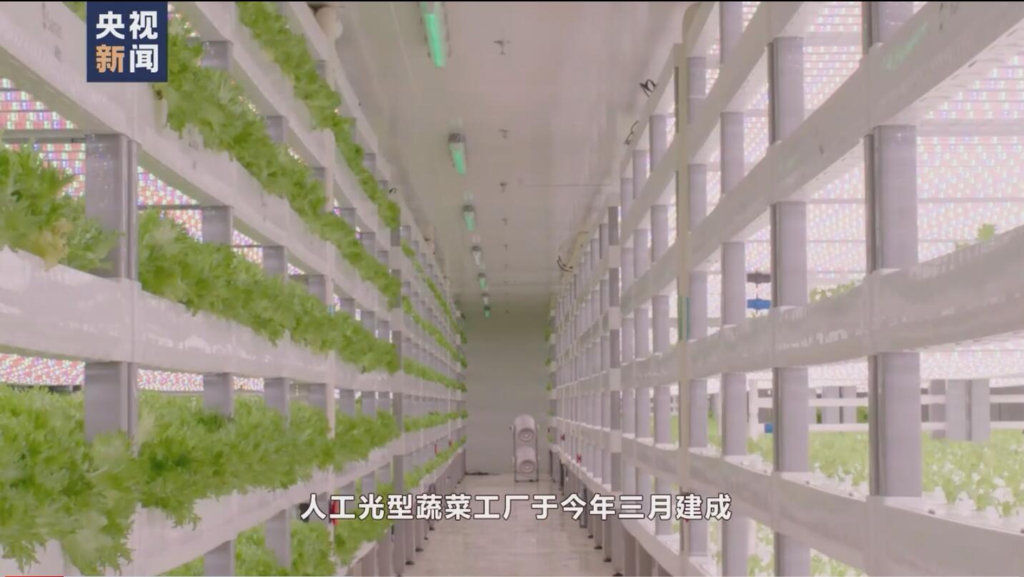 央视新闻|航天员出征前吃的青菜哪里来？走进东风航天城“蔬菜工厂”