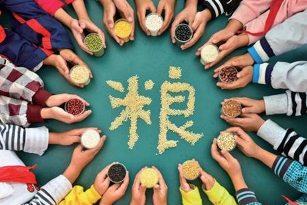 世界粮食日丨每一粒粮食都应该被珍惜