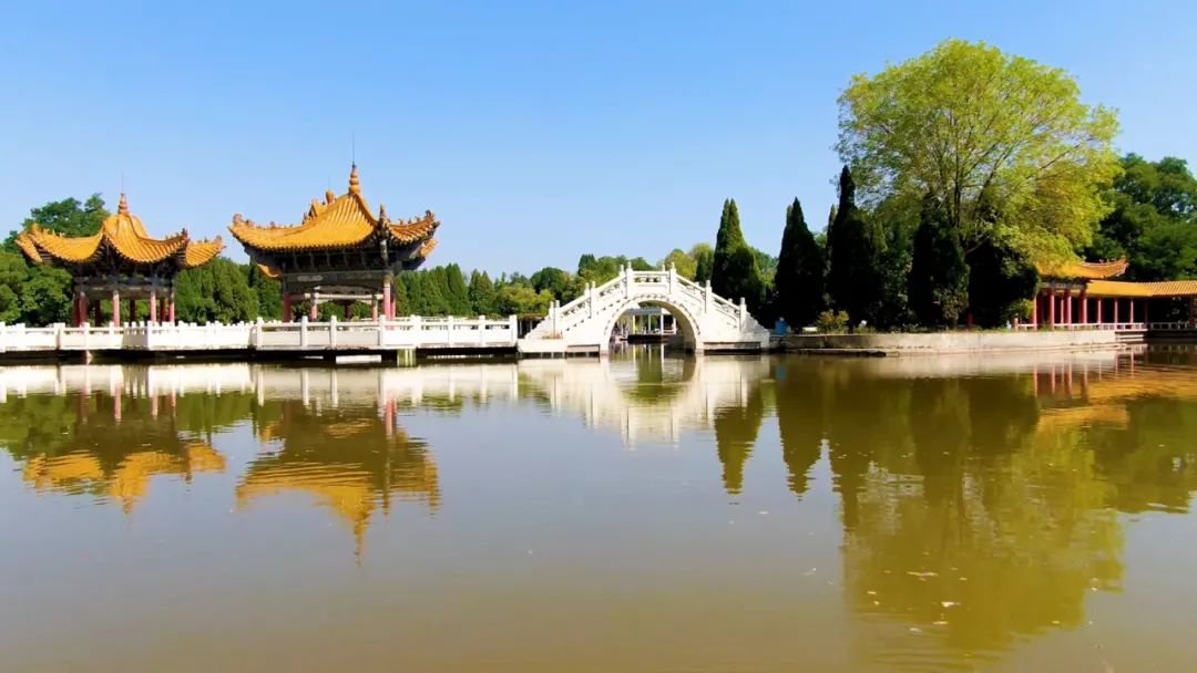 白银市白银区魅力水乡秋意四龙