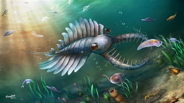 房角石|教你如何打败地球历史上的生物霸主