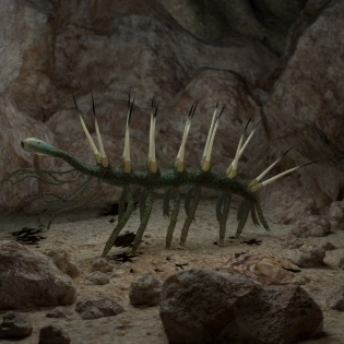 房角石|教你如何打败地球历史上的生物霸主
