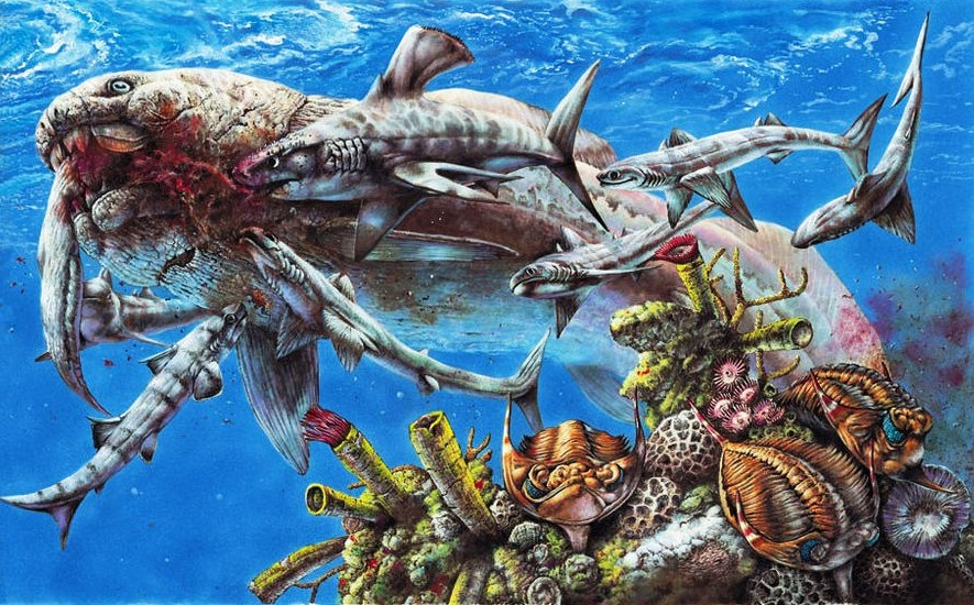 房角石|教你如何打败地球历史上的生物霸主