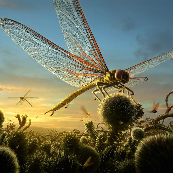 房角石|教你如何打败地球历史上的生物霸主