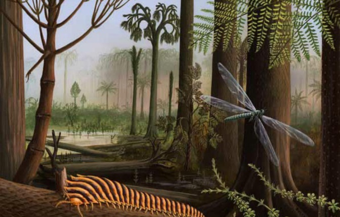 房角石|教你如何打败地球历史上的生物霸主