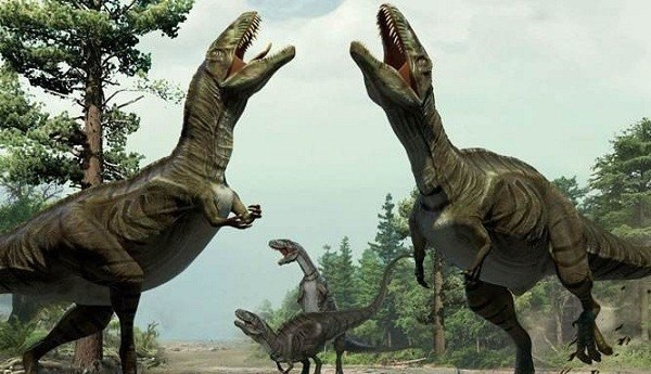 房角石|教你如何打败地球历史上的生物霸主