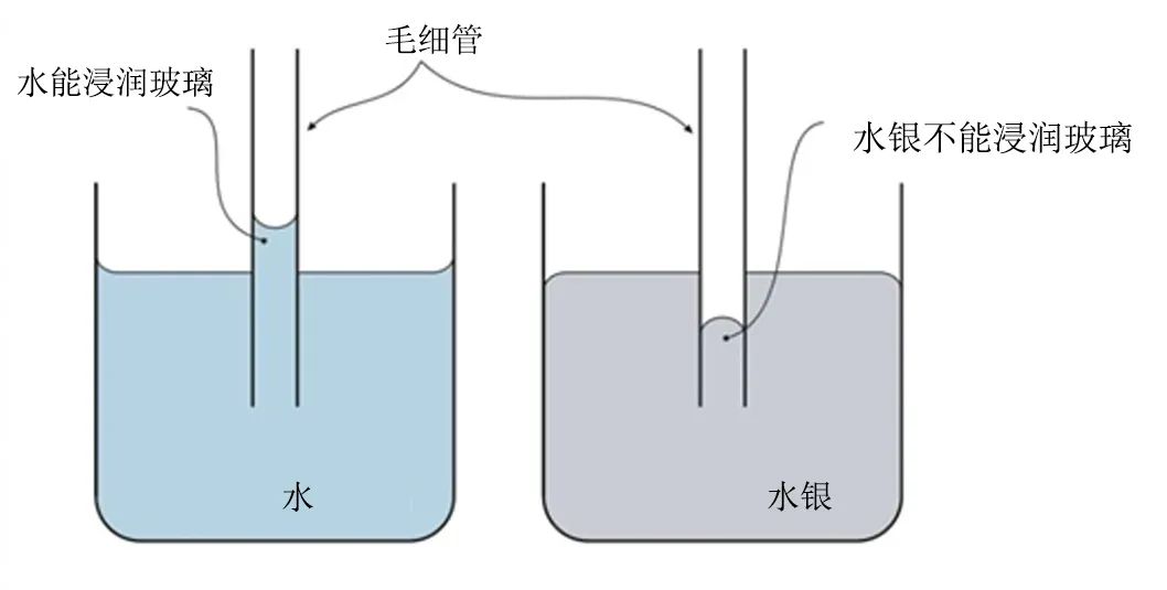 毛细现象|为什么空间站上能使用毛笔？