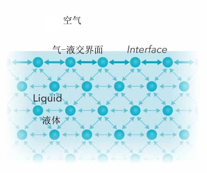 毛细现象|为什么空间站上能使用毛笔？