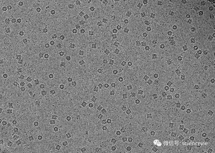 原子|世界上分辨率最高的照片，甚至可以看清原子的模样！