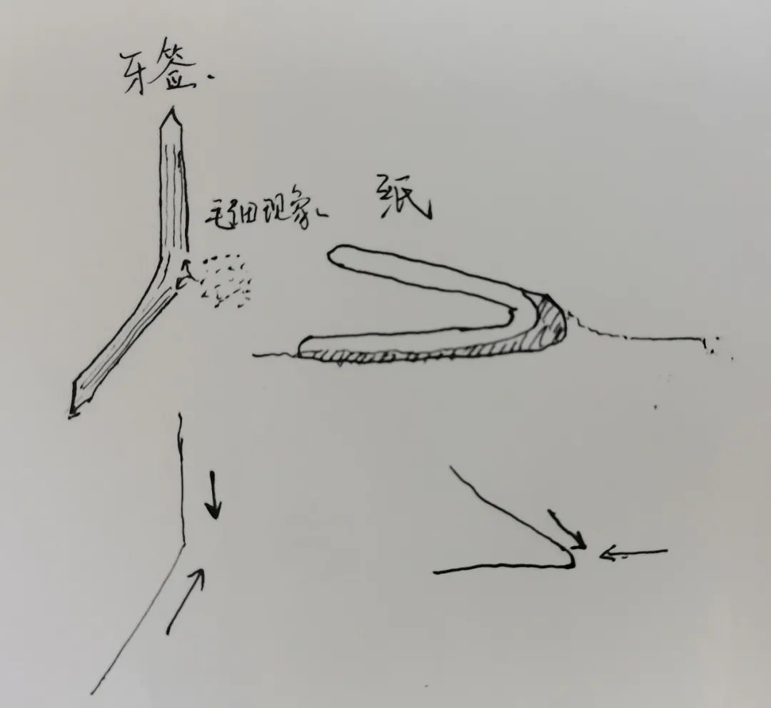 生活|有了这朵花，还怕双十一独自过吗？| 正经玩