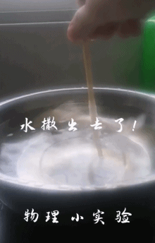 生活|有了这朵花，还怕双十一独自过吗？| 正经玩