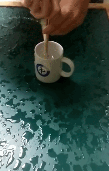 生活|有了这朵花，还怕双十一独自过吗？| 正经玩