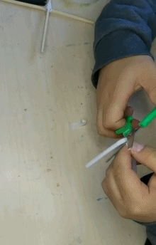 生活|有了这朵花，还怕双十一独自过吗？| 正经玩