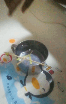 生活|有了这朵花，还怕双十一独自过吗？| 正经玩