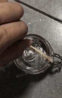 生活|有了这朵花，还怕双十一独自过吗？| 正经玩