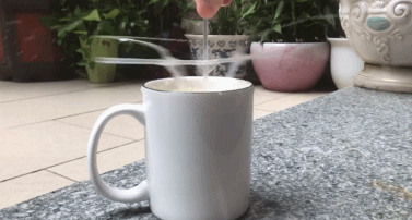 生活|有了这朵花，还怕双十一独自过吗？| 正经玩