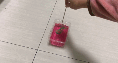 生活|有了这朵花，还怕双十一独自过吗？| 正经玩