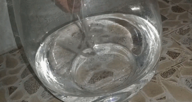 生活|有了这朵花，还怕双十一独自过吗？| 正经玩