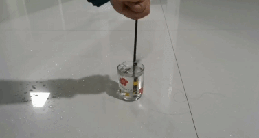 生活|有了这朵花，还怕双十一独自过吗？| 正经玩