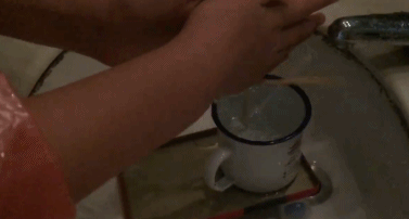 生活|有了这朵花，还怕双十一独自过吗？| 正经玩