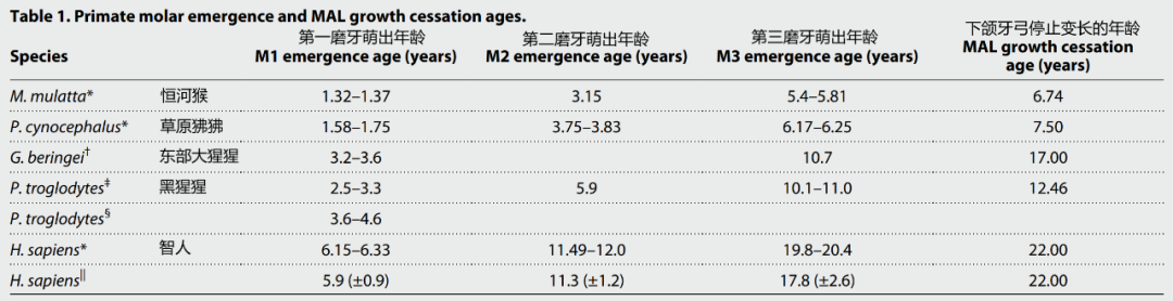 智齿|你为何20岁才长智齿？这可能是人类长寿的代价